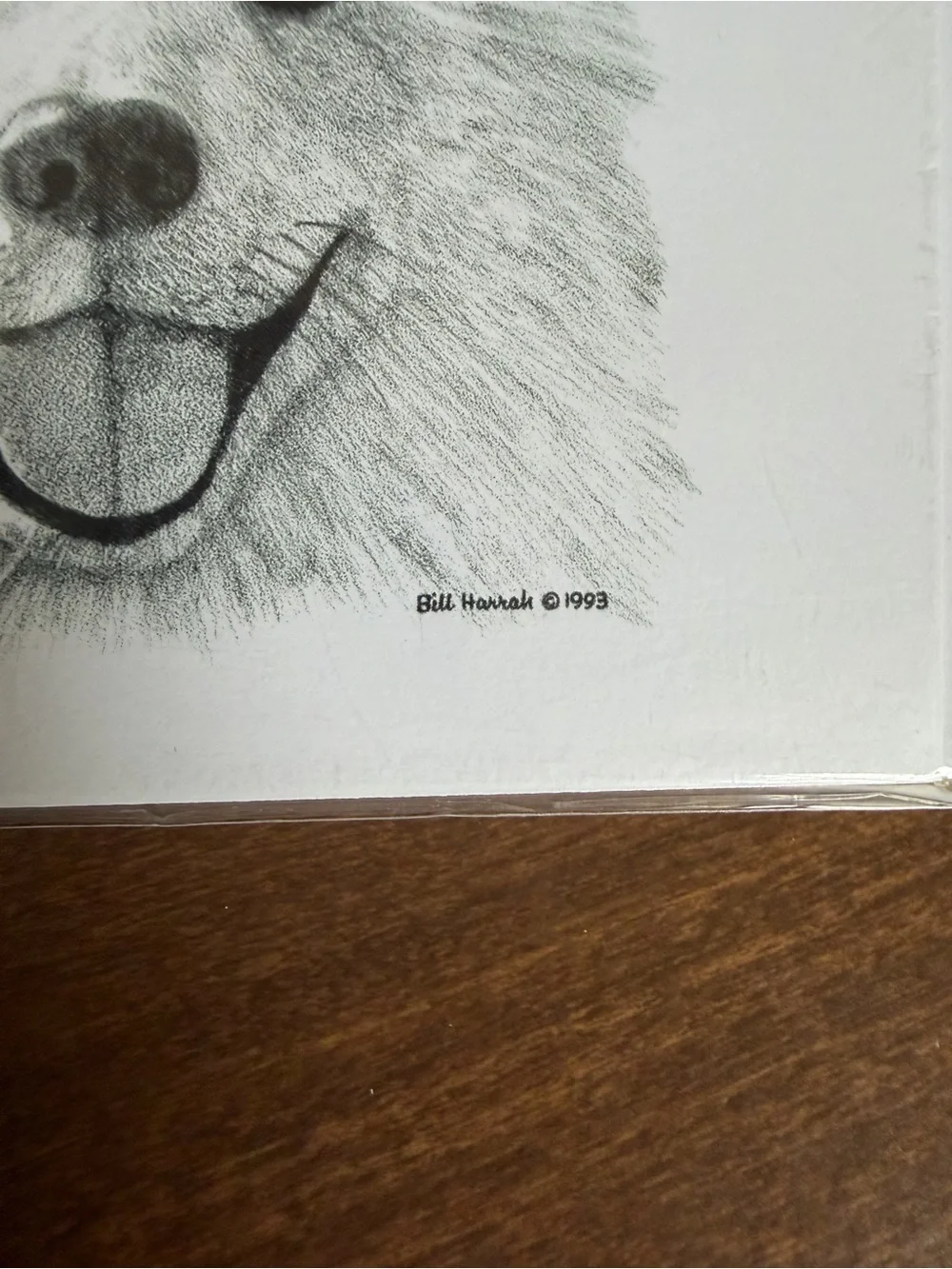 Samoyed Dog Note Cards (8) Fine Art Drawing - Bill Harrah 1993 - Wolf Run Studio